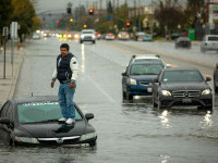 california inundatii