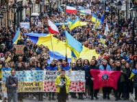 manifestatii pro-Ucraina în Europa