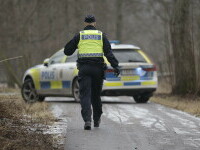 politie suedia