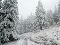Stratul de zăpadă măsoară între 15-20 cm pe mai multe masive montane din țară. Ninsorile continuă și zilele următoare