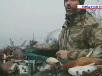 trump jr