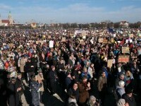 protest munchen anti afd