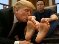 trump si musk