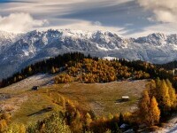 Biodiversitatea României: Cum putem proteja natura fără să blocăm dezvoltarea economică