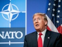 trump nato