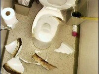 vas de toaleta spart