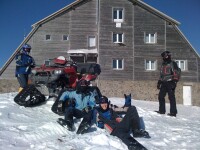 Hiena de la Animal X schiaza ca un profesionist!