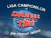 Liga Campionilor 