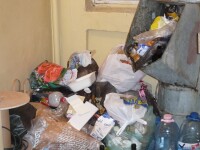 Studentie in mizerie. Conditii insalubre la Caminul ASE din Bucuresti