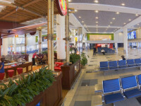 Aeroportul Domodedovo