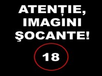 imagini socante