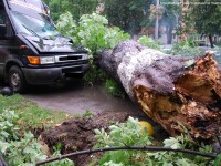 Furtunile din sudul tarii au facut ravagii: copaci cazuti, localitati fara curent, iar un om a murit