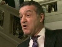 Gigi Becali