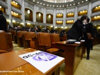 Voichitoiu (PPDD): Ne-ati obligat sa votam contra acestui buget prost conceput si impotriva Romaniei