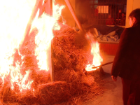 ardere stejar, traditie sarbi