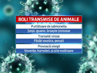 Boli infectioase animale