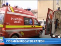 Un cioban din judetul Sibiu a ajuns la spital cu rani grave dupa ce a fost impuscat de patronul lui