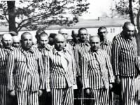 Nazisti si prizonieri