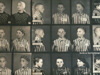 Prizonieri la Auschwitz