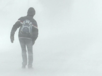 Școlile s-au închis și în Teleorman din cauza viscolului