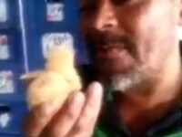 Farsa sau gest socant! Un barbat din Brazilia se filmeaza in timp ce inghite un pui de gaina viu. VIDEO