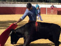 matador