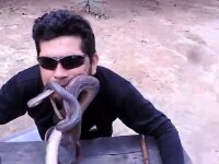 Barbat filmat tinand patru serpi in gura. Ce urmeaza imediat dupa aceasta secventa. VIDEO