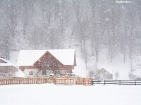 Ninsori Romania