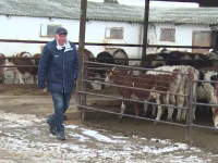 Metoda prin care un fermier din Alba a reusit sa-si faca afacerea de 5 ori mai profitabila: 