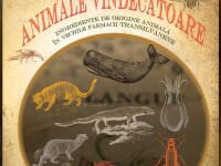 Expozitie temporara la Colectia de Istorie a Farmaciei. Povestea ingredientelor bizare folosite ca leacuri in farmacii