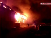 Fermă de păsări de 2 mil. de €, din Vaslui, mistuită de flăcări. Explicația proprietarului