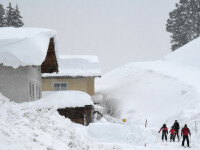 zapada austria