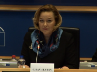 Carmen Dan, Parlamentul European