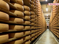 Cum se obține cea mai cerută brânză din Elveţia