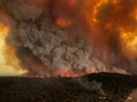 Incendii devastatoare în Australia - 4
