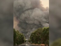 Incendii devastatoare în Australia - 5
