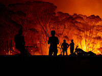 incendii australia