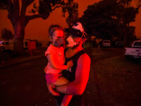 Imagini emoționante din Australia, în urma incendiilor devastatoare