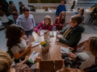 Ghidul Antreprenorului Începător