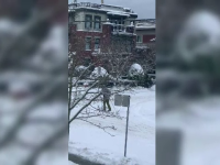 Un locuitor din Vancouver, filmat în timp ce se deplasa pe stradă cu schiurile