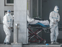S-a descoperit posibila sursă a virusului ucigaș din China