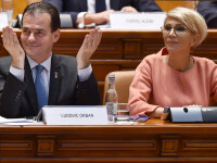 Ludovic Orban, Raluca Turcan, PNL, Parlament