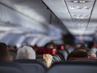 Mamă, tată și fiică, obligați să coboare dintr-un avion din cauza mirosului lor