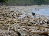 Plajele din Bali sunt „sufocate” de gunoaie. Autoritățile se luptă cu tone de deșeuri. GALERIE FOTO