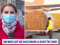 vaccin, Romania