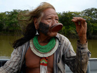 Indigenii amazonieni folosesc o fiertură din coaja unei liane pentru a se apăra de Covid-19
