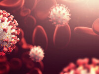 O nouă variantă a coronavirusului a fost depistată în Japonia