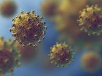 coronavirus