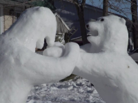 O familie din Canada și-a animat curtea casei cu o duzină de urși polari din zăpadă. VIDEO