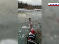Momentul în care un câine este salvat de pompieri din apele înghețate ale unui râu, în Alba. VIDEO